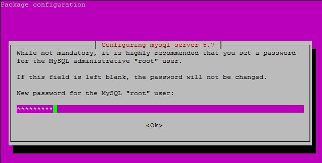 Ingresar una clave al instalar mysql