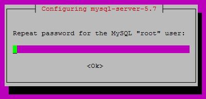 Repetir la clave al instalar mysql