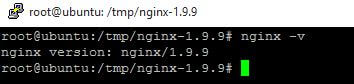 Verificar si nginx esta instalado