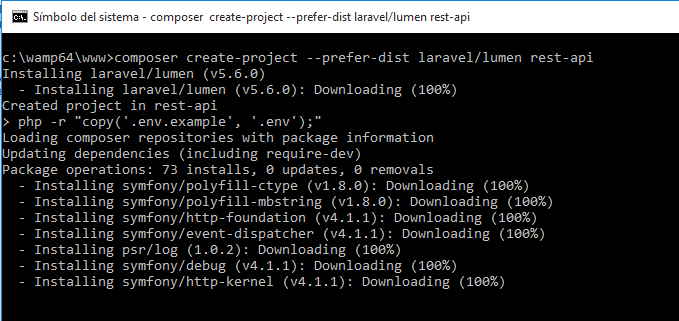Instalar lumen, para crear el servicio restful